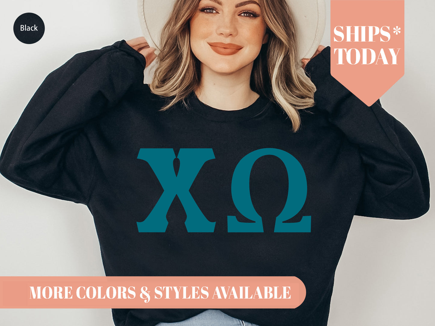 Chi Omega Back to the Basics Sorority Sweatshirt _ 631g