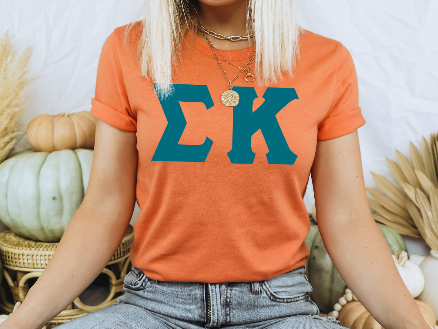 Sigma Kappa Back to the Basics Sorority T-shirt _ 644g