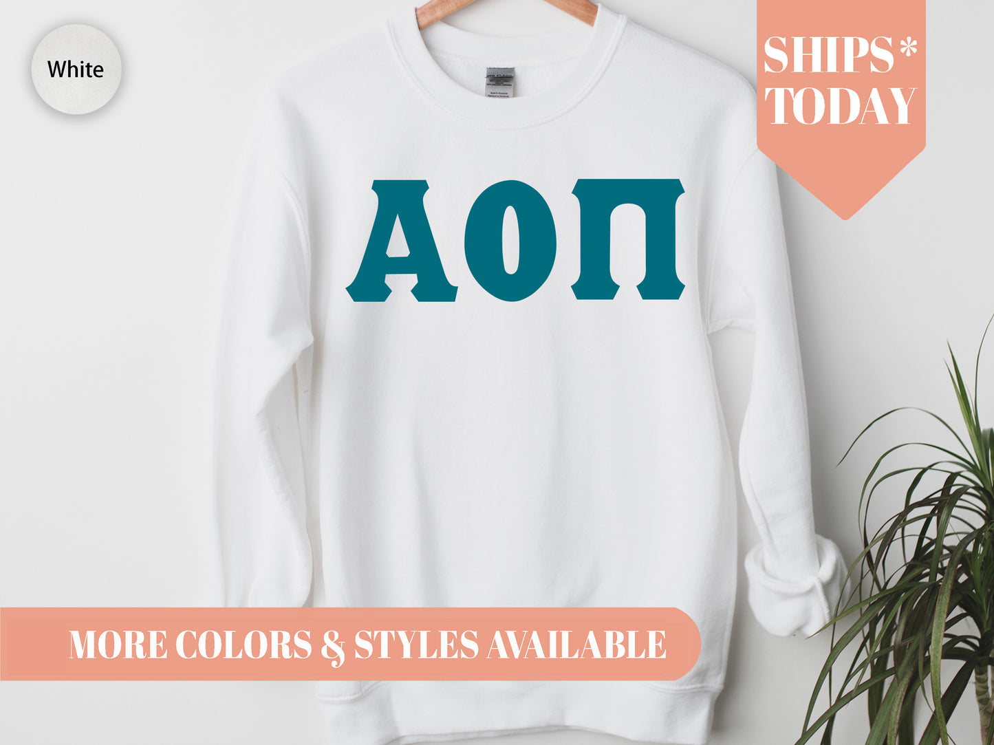Alpha Omicron Pi Back to the Basics Sorority Sweatshirt  _ 626g