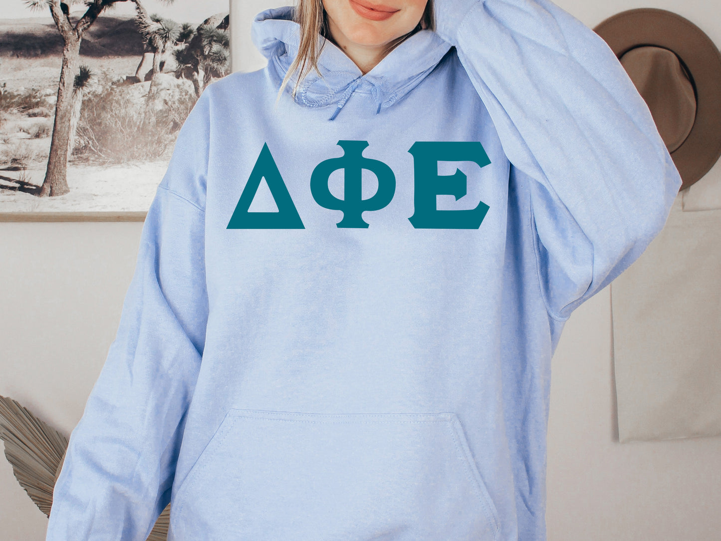 Delta Phi Epsilon Back to the Basics Sorority Hoodie _ 634g