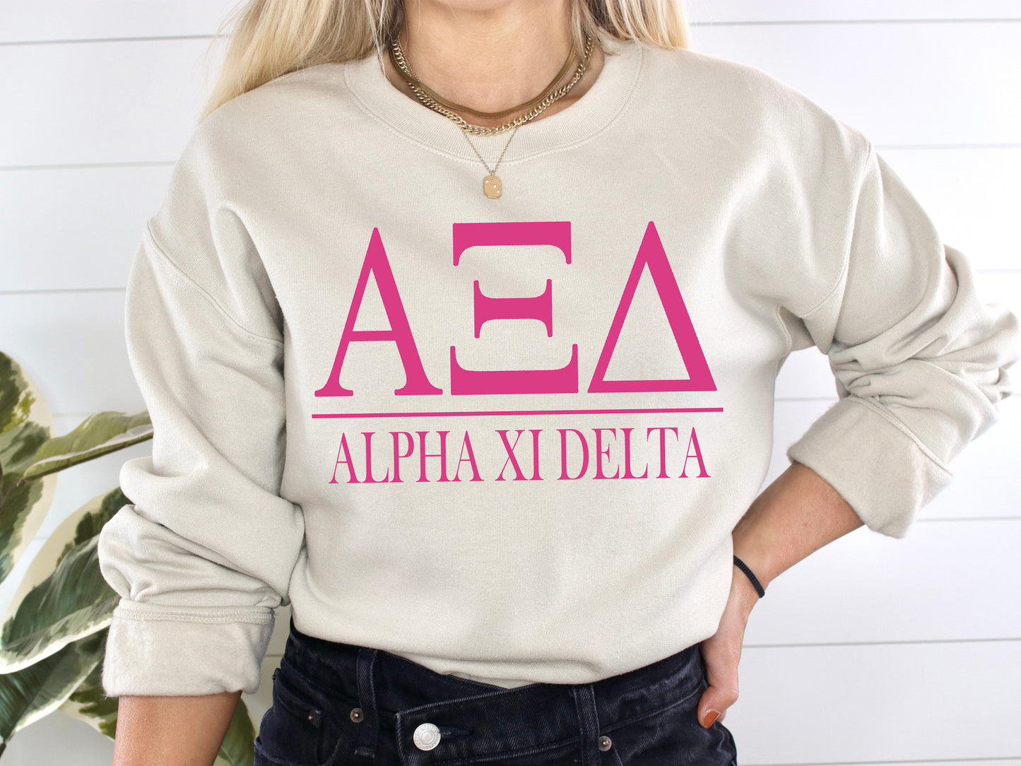 Alpha Xi Delta Loud Letters Sorority Sweatshirt _ 474g