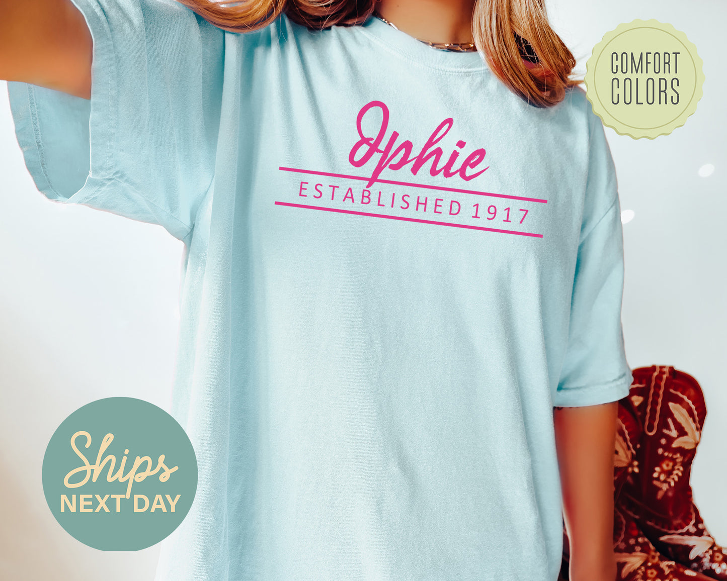 Delta Phi Epsilon All Pink Comfort Colors Sorority T-shirt _ 764g