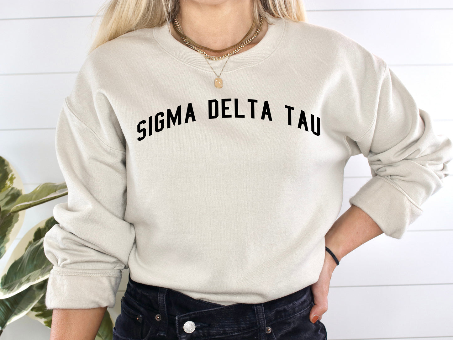 Sigma Delta Tau Just Bold Sorority Sweatshirt _ 2390g