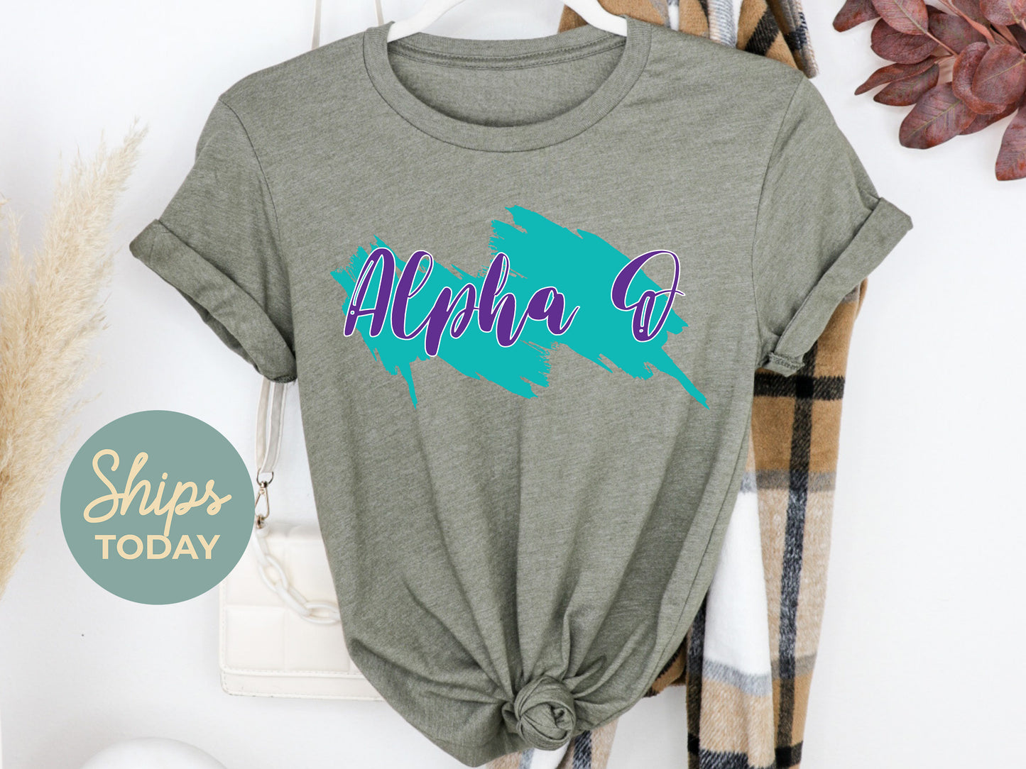 Alpha Omicron Pi Paint Party Sorority T-shirt _ 4476g