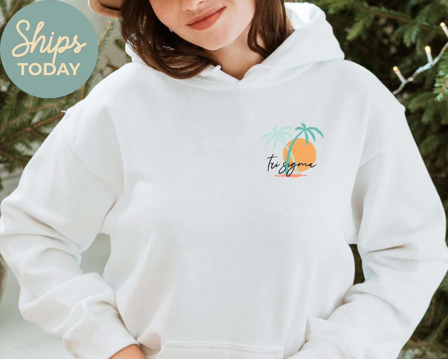 Sigma Sigma Sigma Island Sisterhood Sorority Hoodie _ 33582g