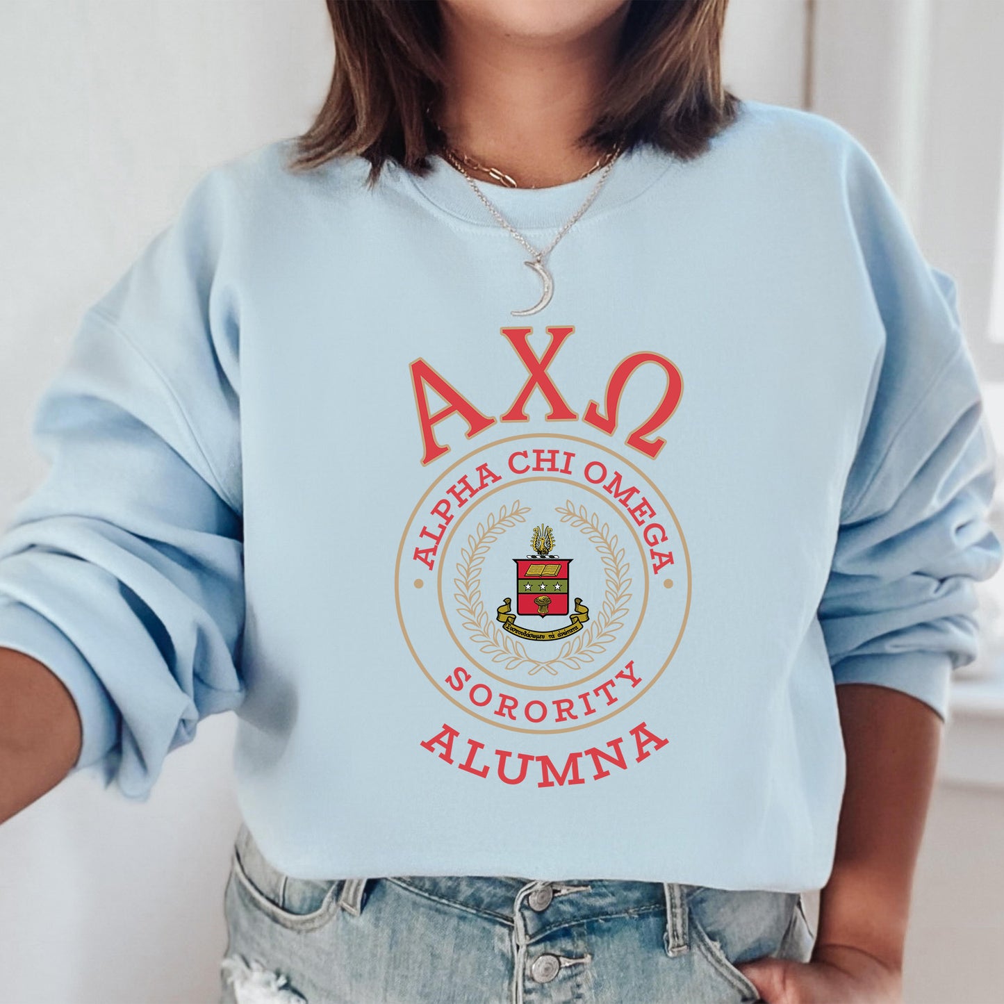 Alpha Chi Omega Alumna Vintage Sorority Sweatshirt _ 31009g