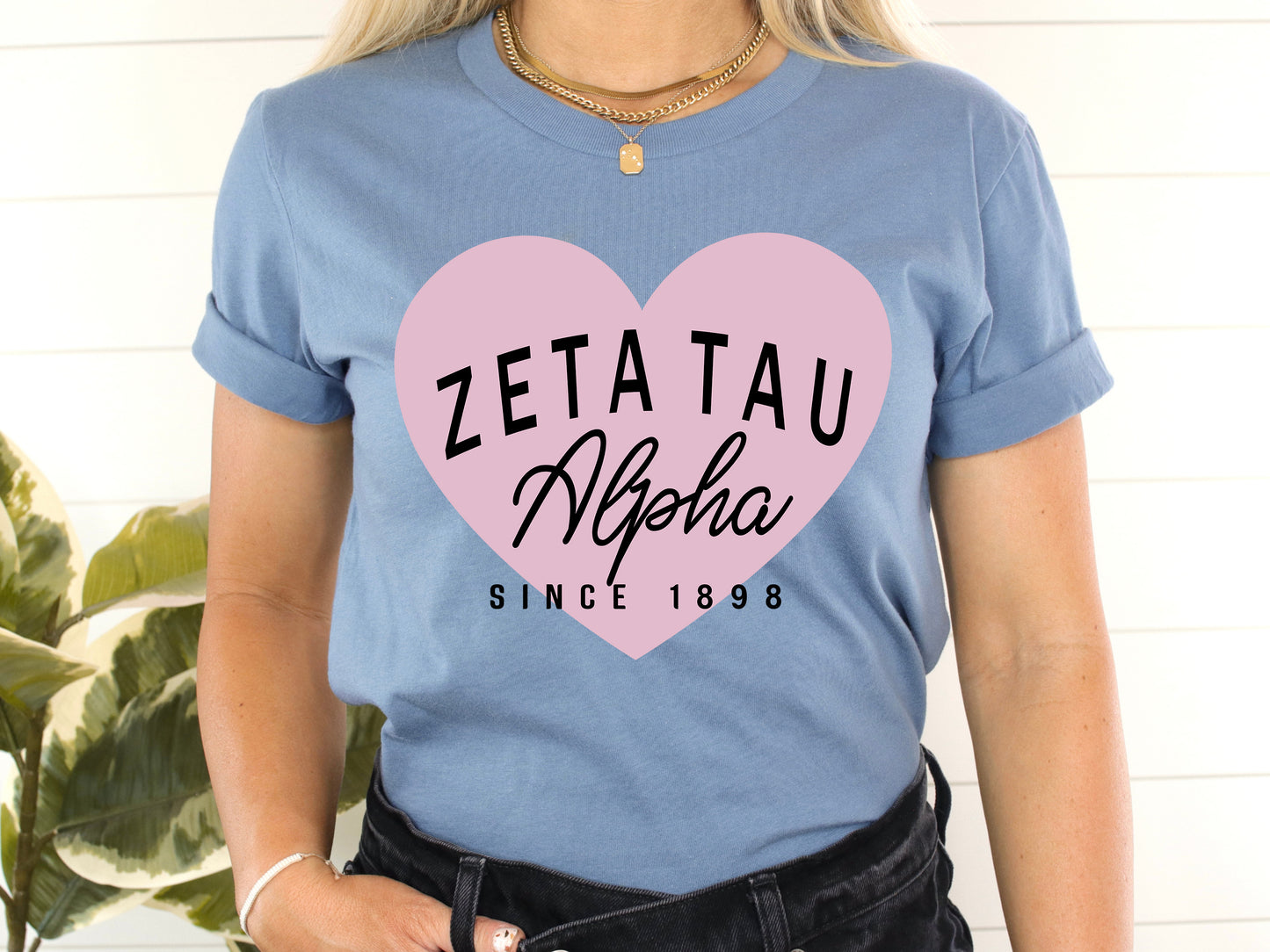 Zeta Tau Alpha Pretty in Pink Sorority T-shirt _ 465g