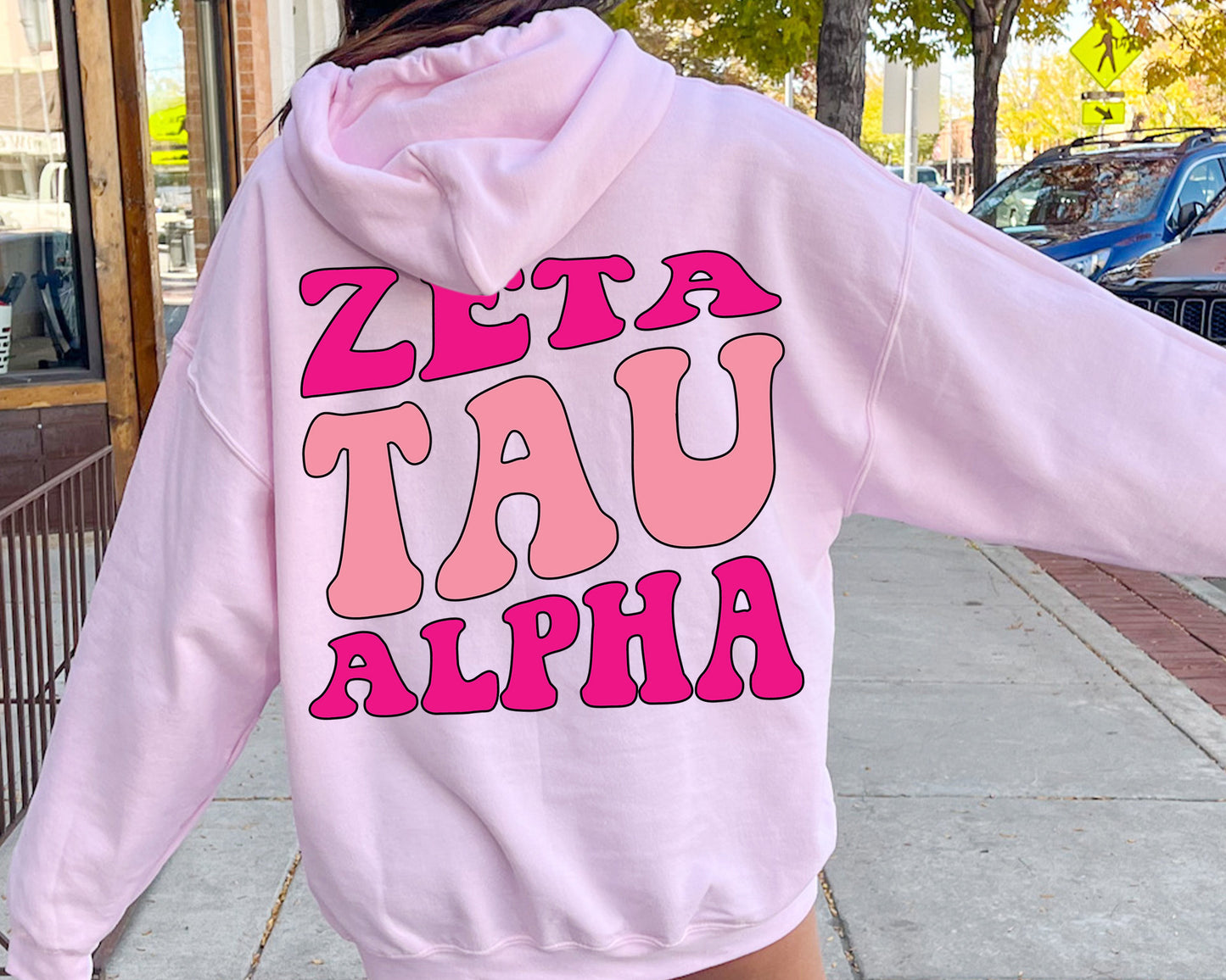 Zeta Tau Alpha Shades of Pink Sorority Hoodie _ 32997g