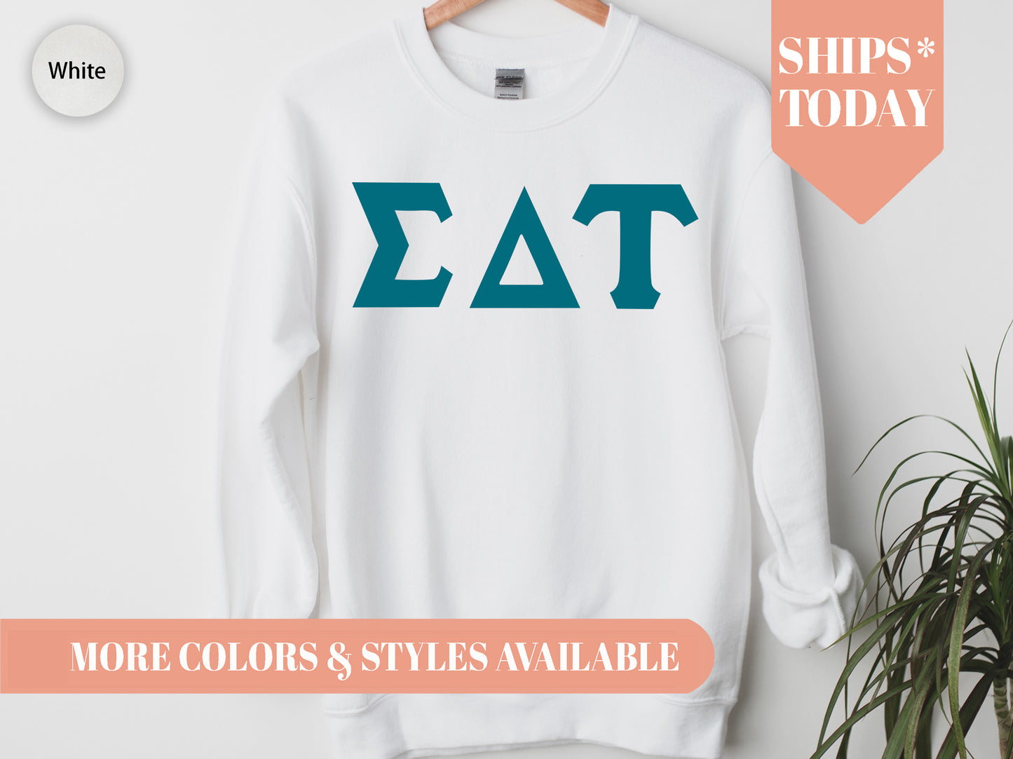 Sigma Delta Tau Back to the Basics Sorority Sweatshirt _ 643g