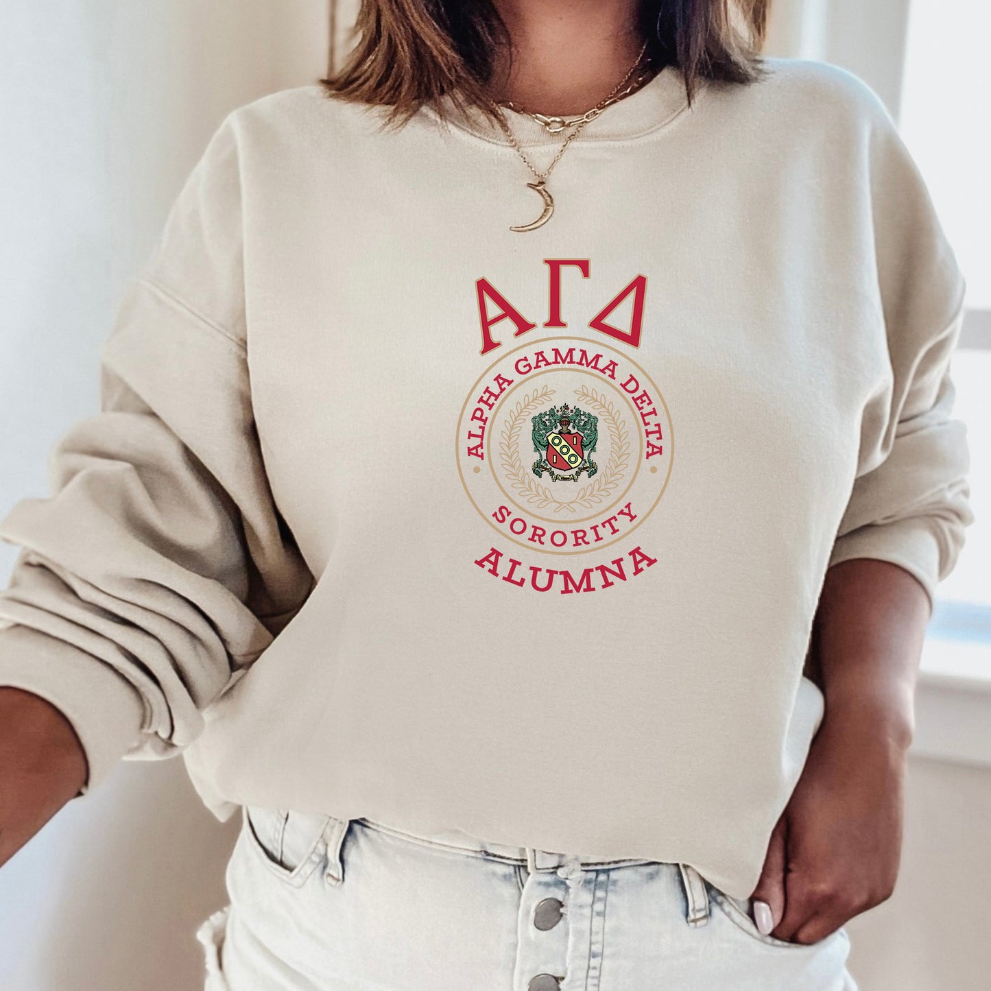 Alpha Gamma Delta Alumna Vintage Sorority Sweatshirt _ 31012g