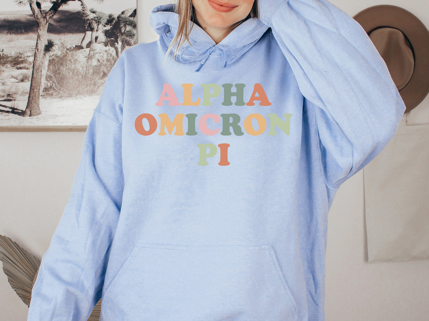 Alpha Omicron Pi Bright and Proud Sorority Hoodie _ 418g