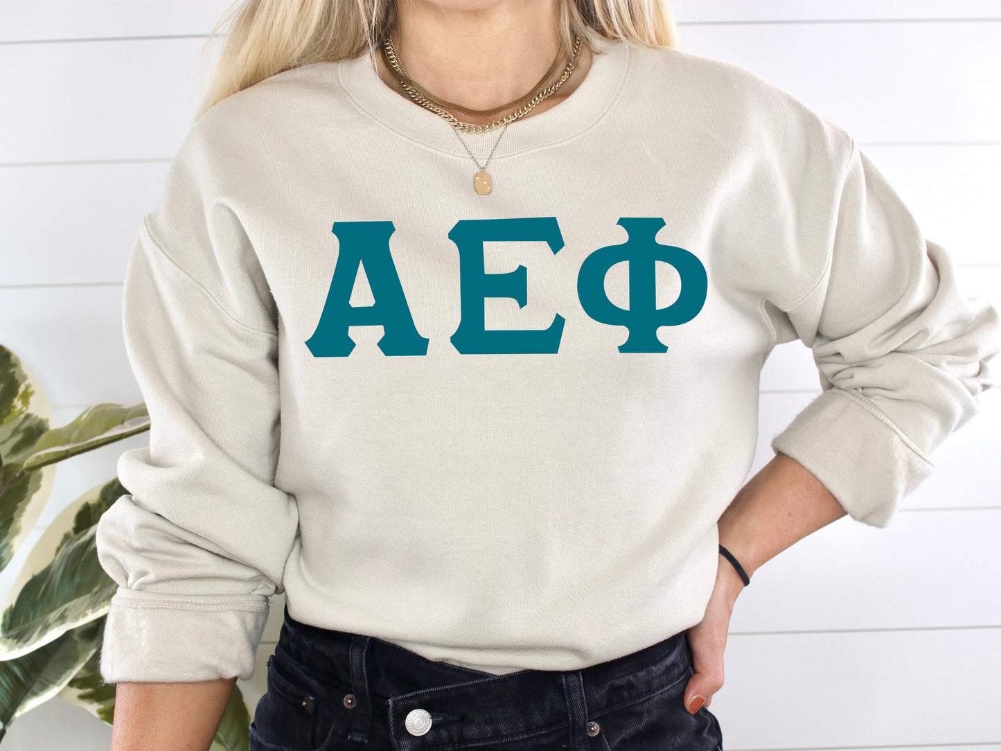 Alpha Epsilon Phi Back to the Basics Sorority Sweatshirt _ 624g