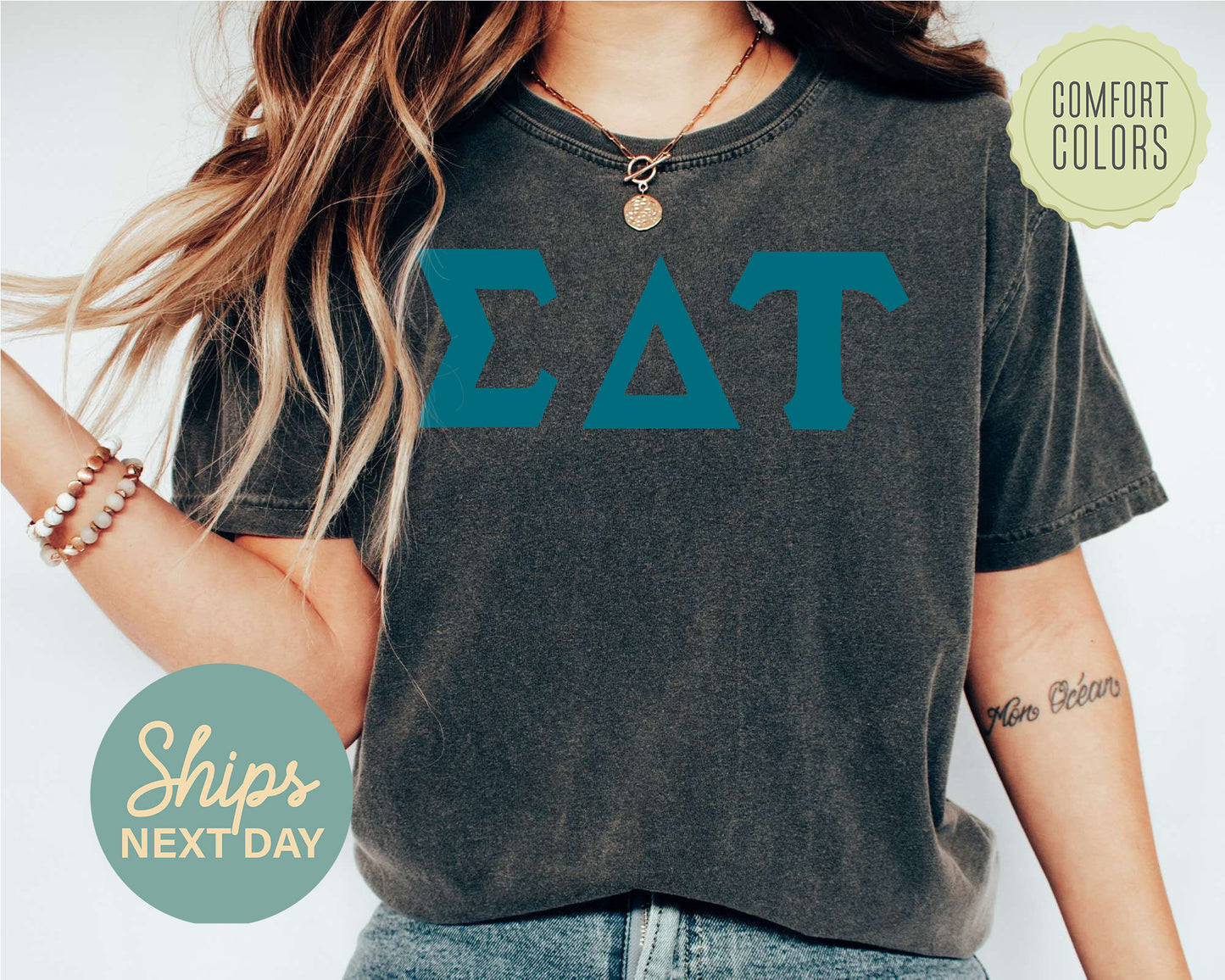Sigma Delta Tau Back to the Basics Comfort Colors Sorority T-shirt _ 643g
