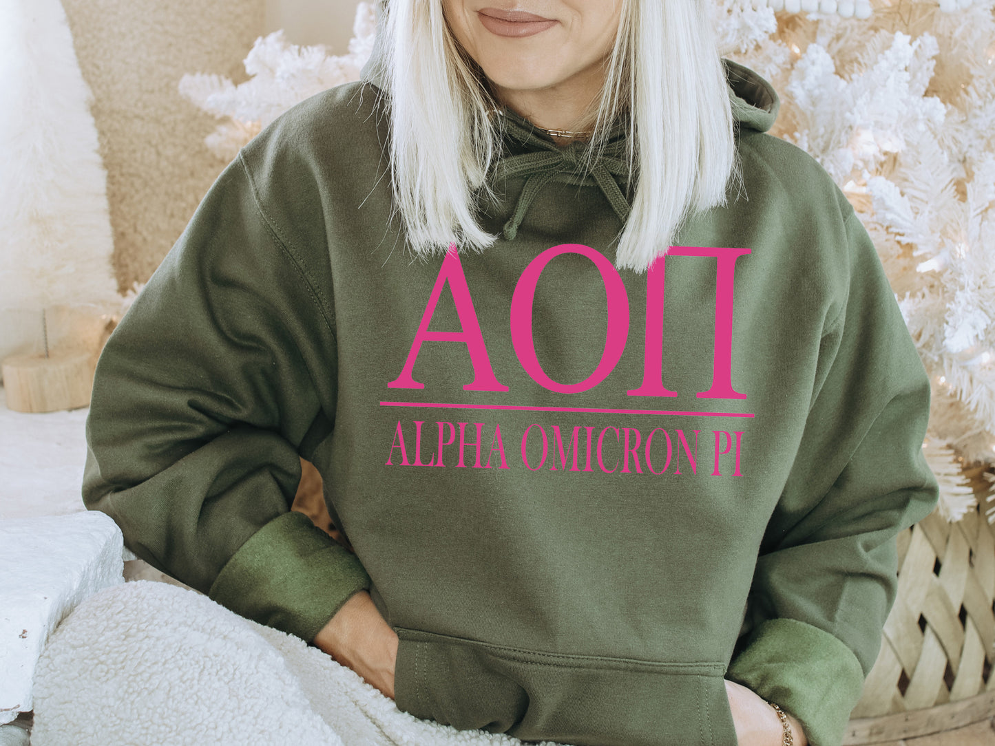 Alpha Omicron Pi Loud Letters Sorority Hoodie _ 470g
