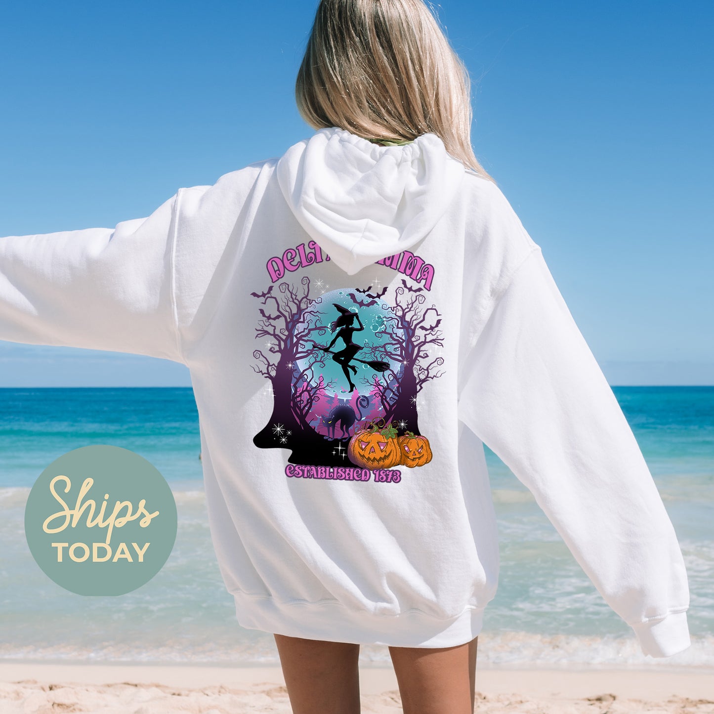 Delta Gamma Halloween Witch Sorority Hoodie _ 36237g