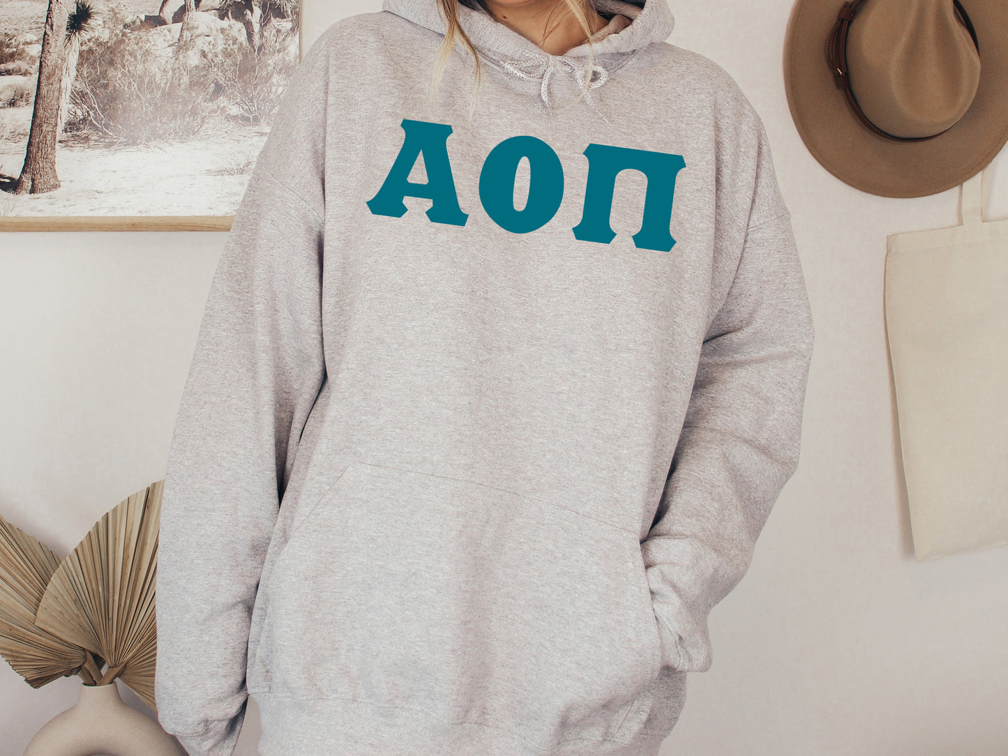 Alpha Omicron Pi Back to the Basics Sorority Hoodie _ 626g