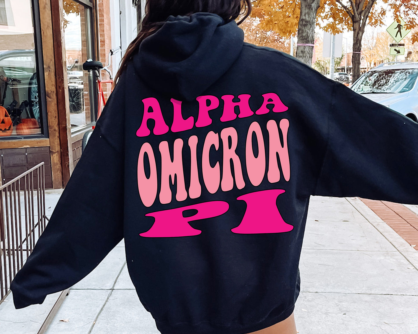 Alpha Omicron Pi Shades of Pink Sorority Hoodie _ 32976g