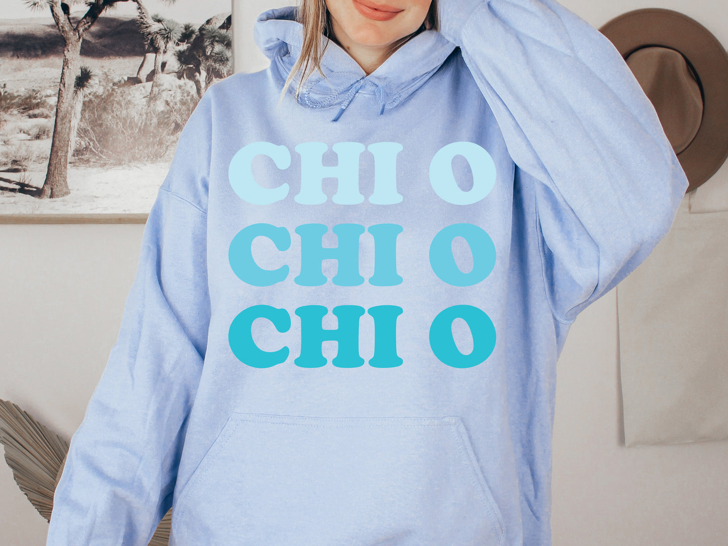 Chi Omega Touch of Blue Sorority Hoodie _ 2586g