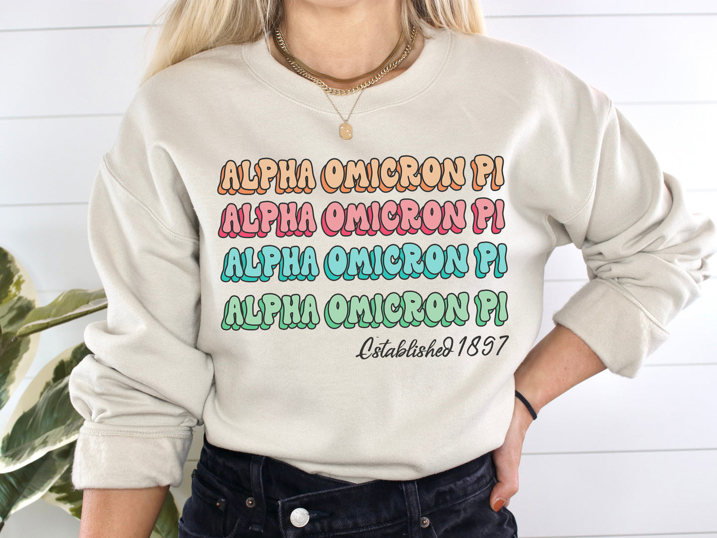 Alpha Omicron Pi Lucy Sorority Sweatshirt _ 262g