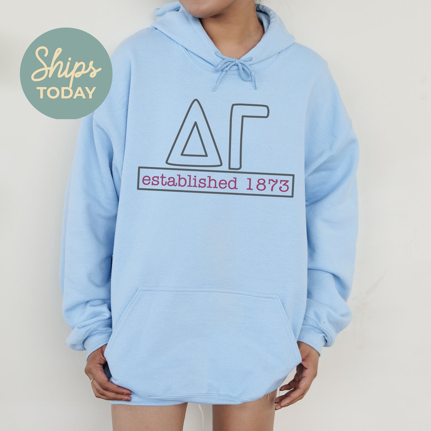 Delta Gamma Simply Greek Sorority Hoodie _ 39347g