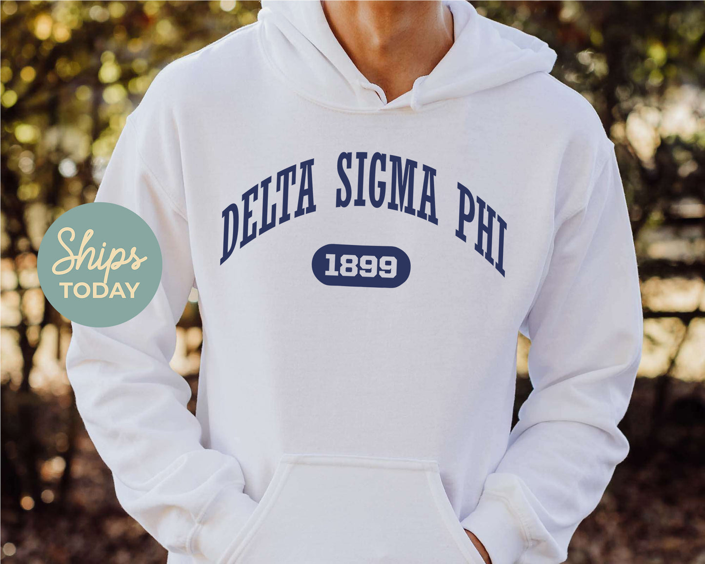 Delta Sigma Phi  Fraternal Arch Fraternity Hoodie _ 915g