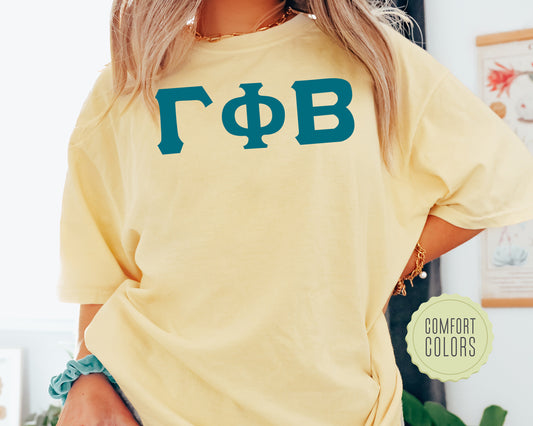 Gamma Phi Beta Back to the Basics Comfort Colors Sorority T-shirt _ 636g