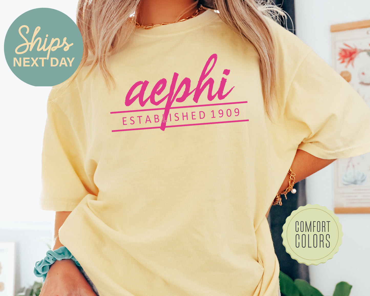 Alpha Epsilon Phi All Pink Comfort Colors Sorority T-shirt _ 754g