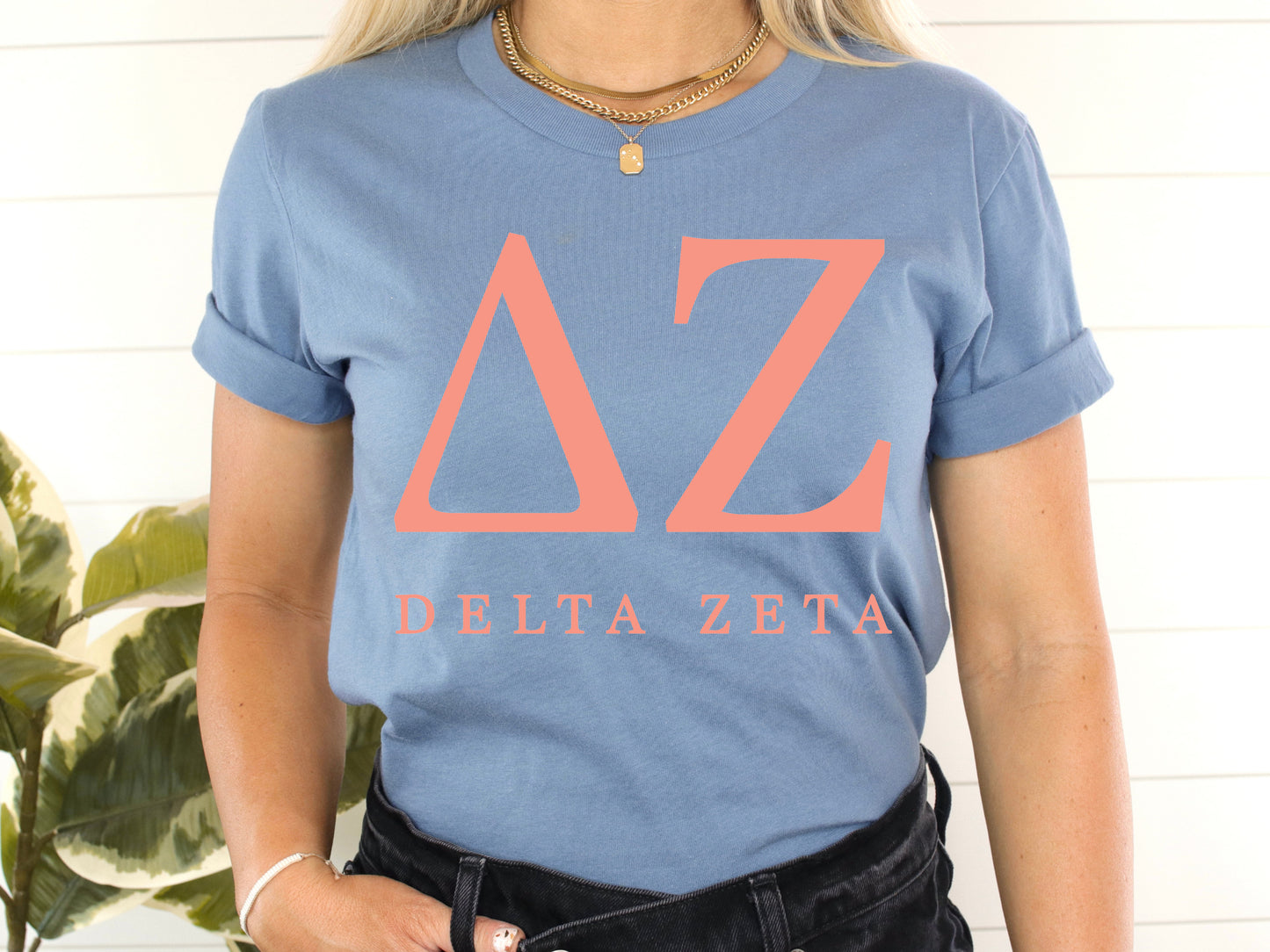 Delta Zeta Pink Personality Sorority T-shirt _ 661g