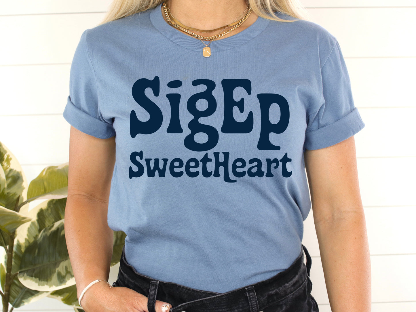 Sigma Phi Epsilon Trendy Sweetheart Fraternity T-shirt _ 2013g
