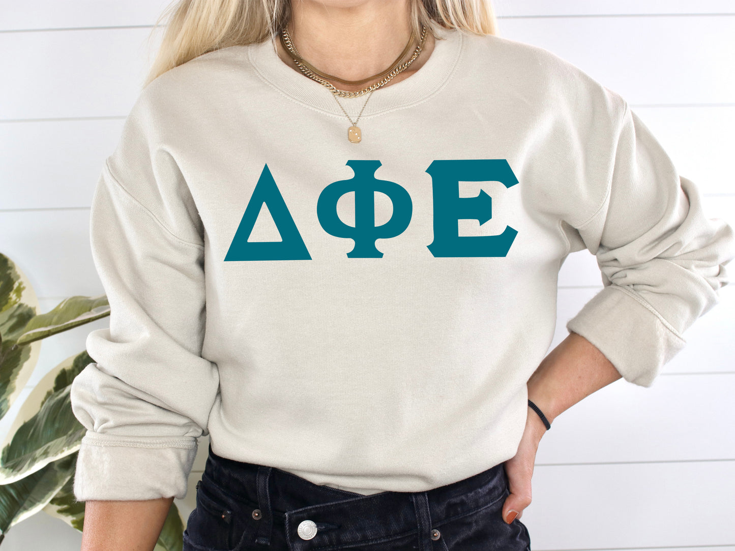 Delta Phi Epsilon Back to the Basics Sorority Sweatshirt _ 634g