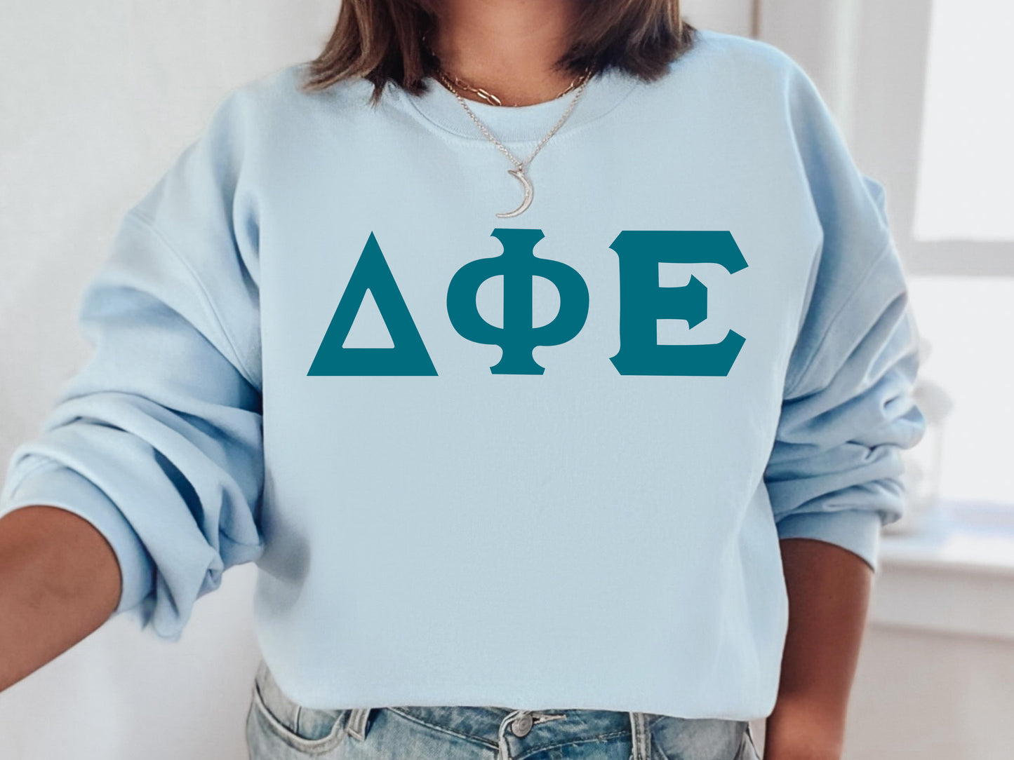 Delta Phi Epsilon Back to the Basics Sorority Sweatshirt _ 634g