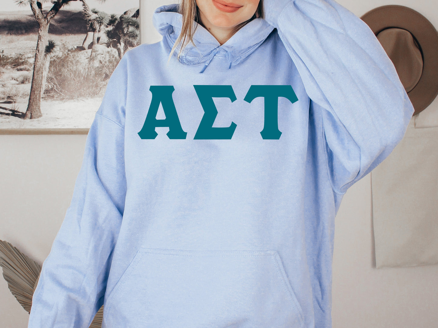 Alpha Sigma Tau Back to the Basics Sorority Hoodie _ 629g