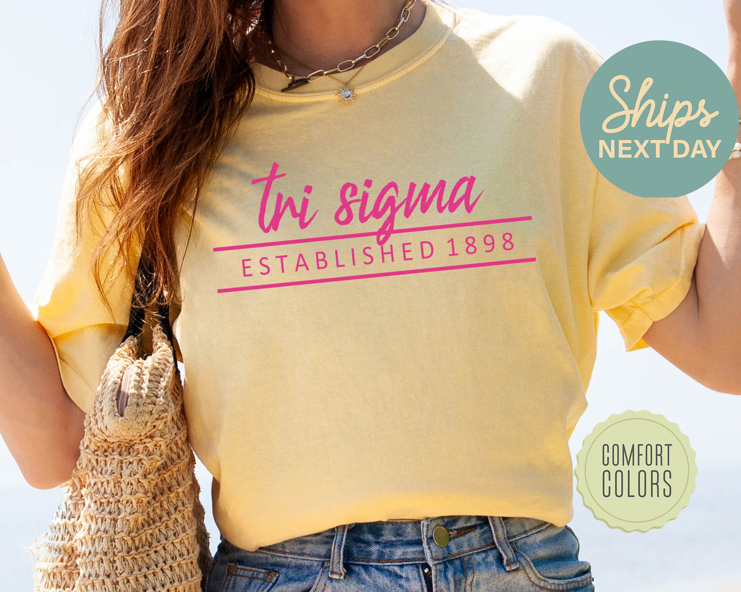 Sigma Sigma Sigma All Pink Comfort Colors Sorority T-shirt _ 775g