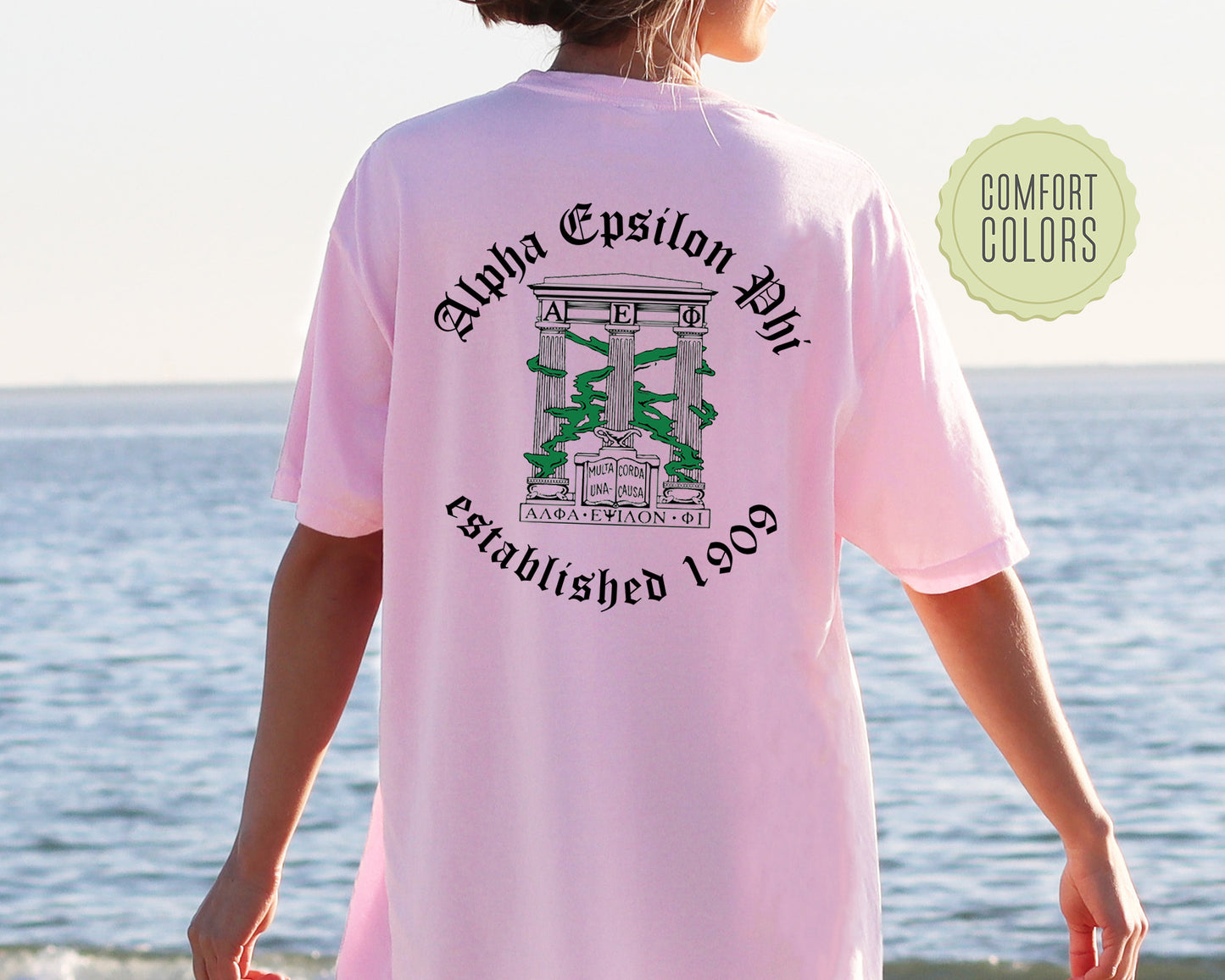 Alpha Epsilon Phi Old English Crest Comfort Colors Sorority T-shirt _ 32922g