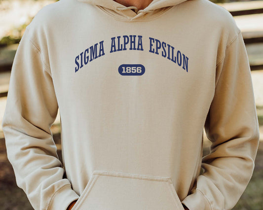 Sigma Alpha Epsilon Fraternal Arch Fraternity Hoodie _ 928g