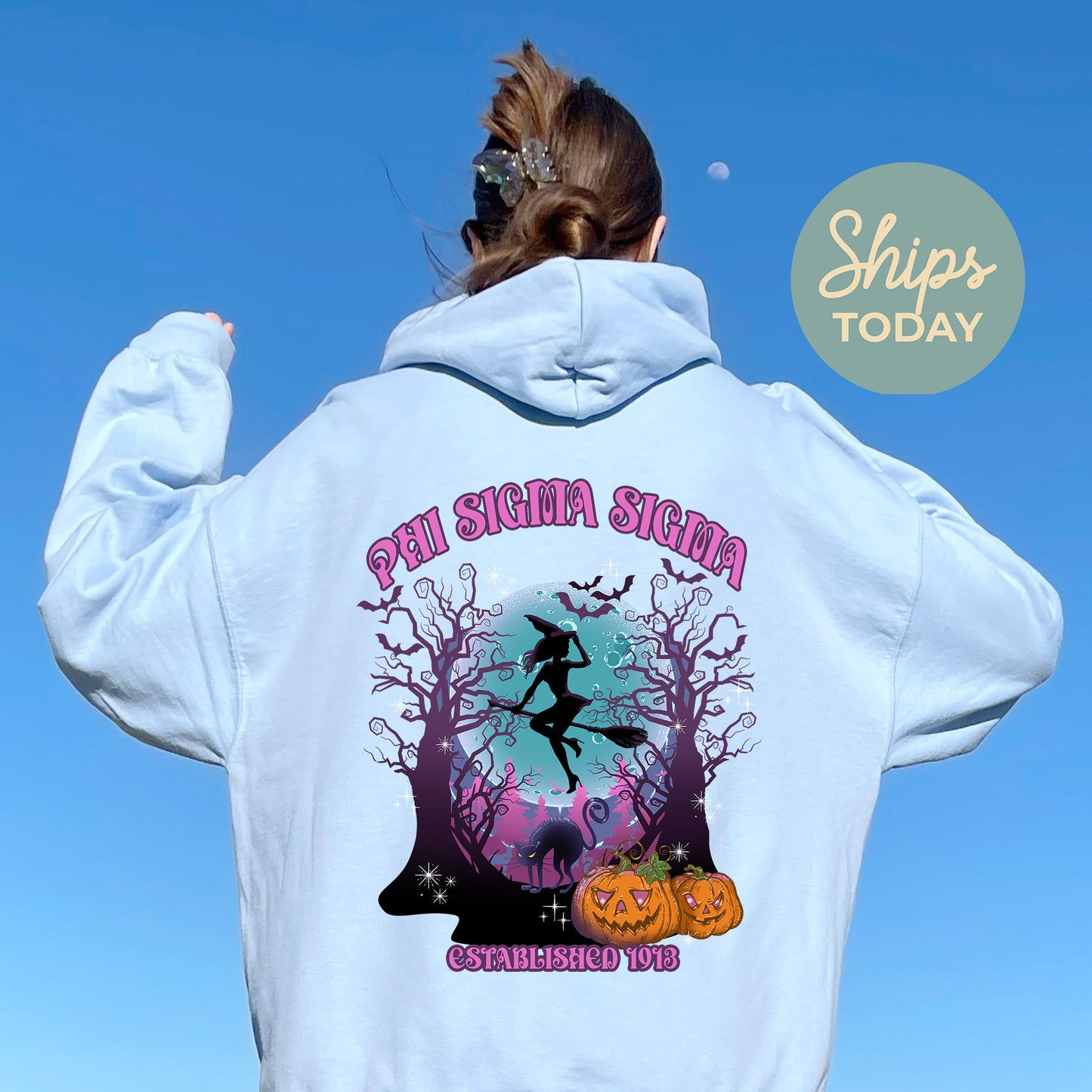 Phi Sigma Sigma Halloween Witch Sorority Hoodie _ 36245g