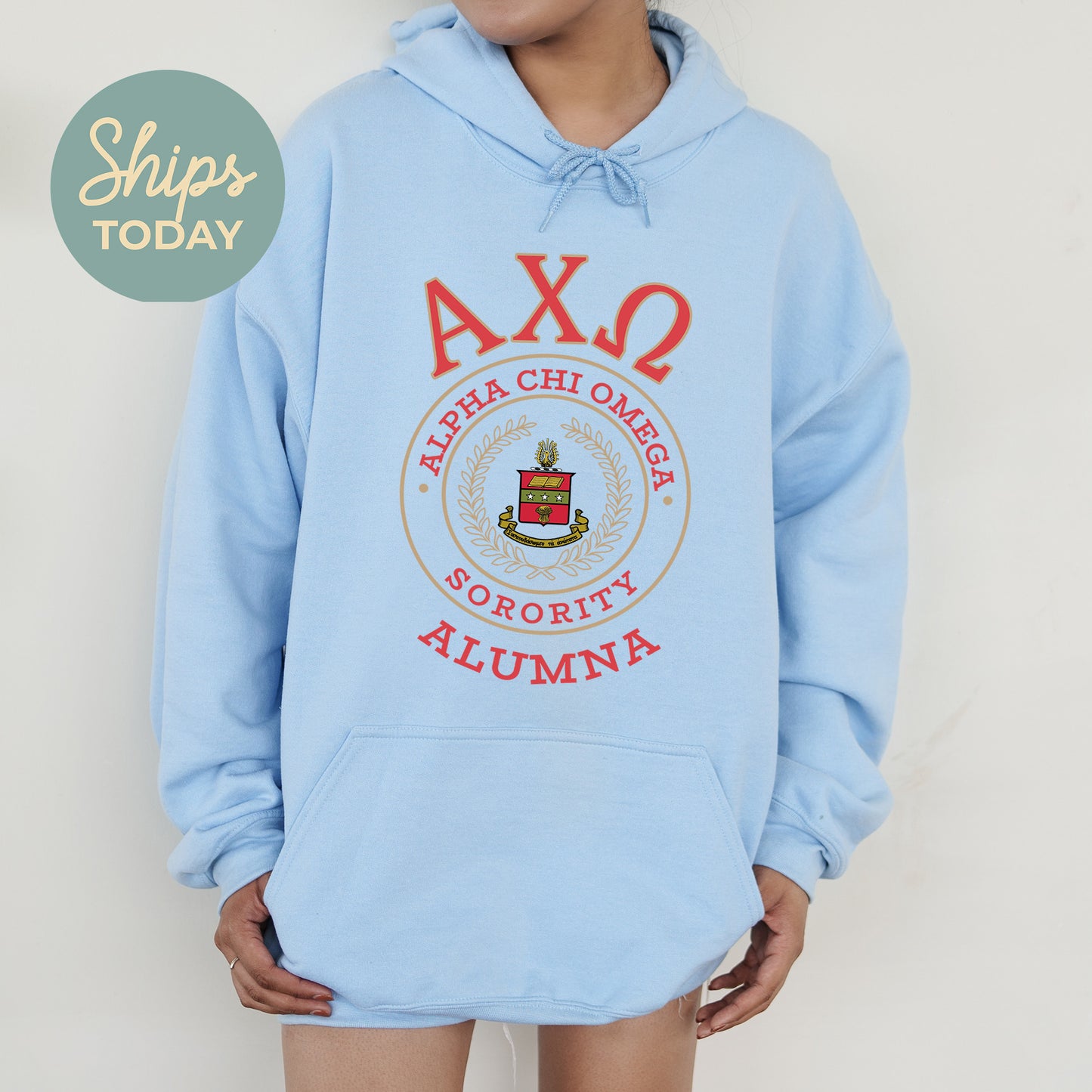 Alpha Chi Omega Alumna Vintage Sorority Hoodie _ 31009g