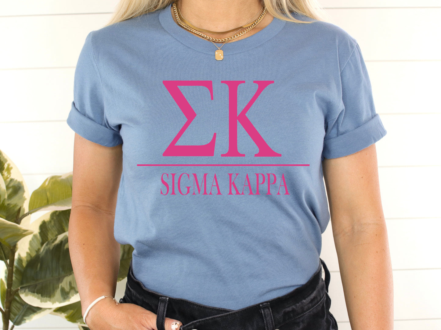 Sigma Kappa Loud Letters Sorority T-shirt _ 488g