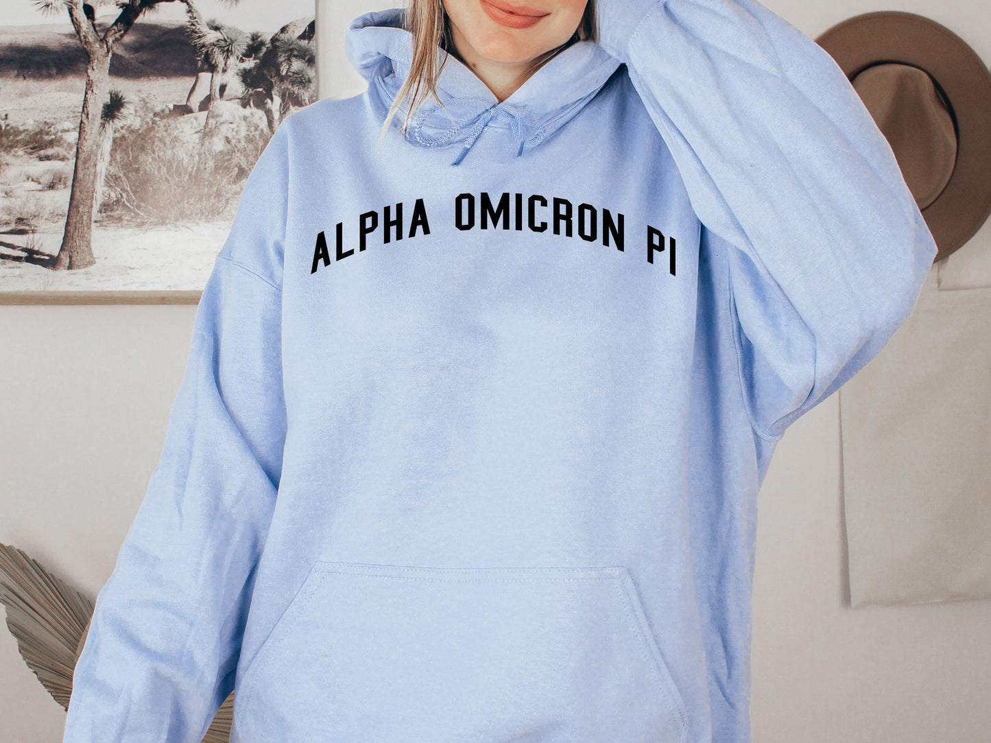 Alpha Omicron Pi Just Bold Sorority Hoodie _ 2373g