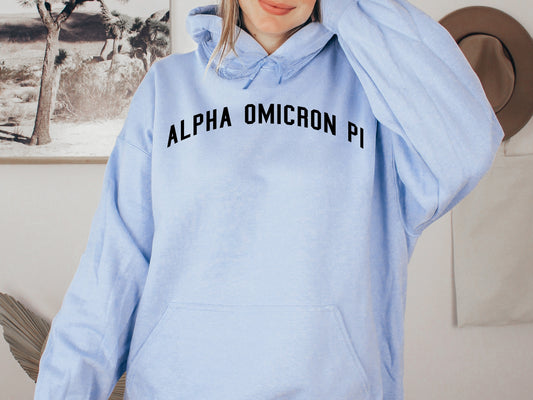 Alpha Omicron Pi Just Bold Sorority Hoodie _ 2373g