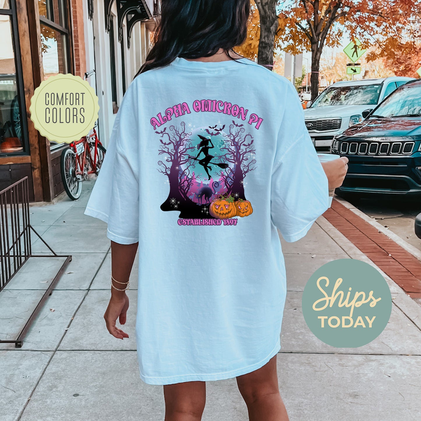 Alpha Omicron Pi Halloween Witch Comfort Colors Sorority T-shirt _ 36230g