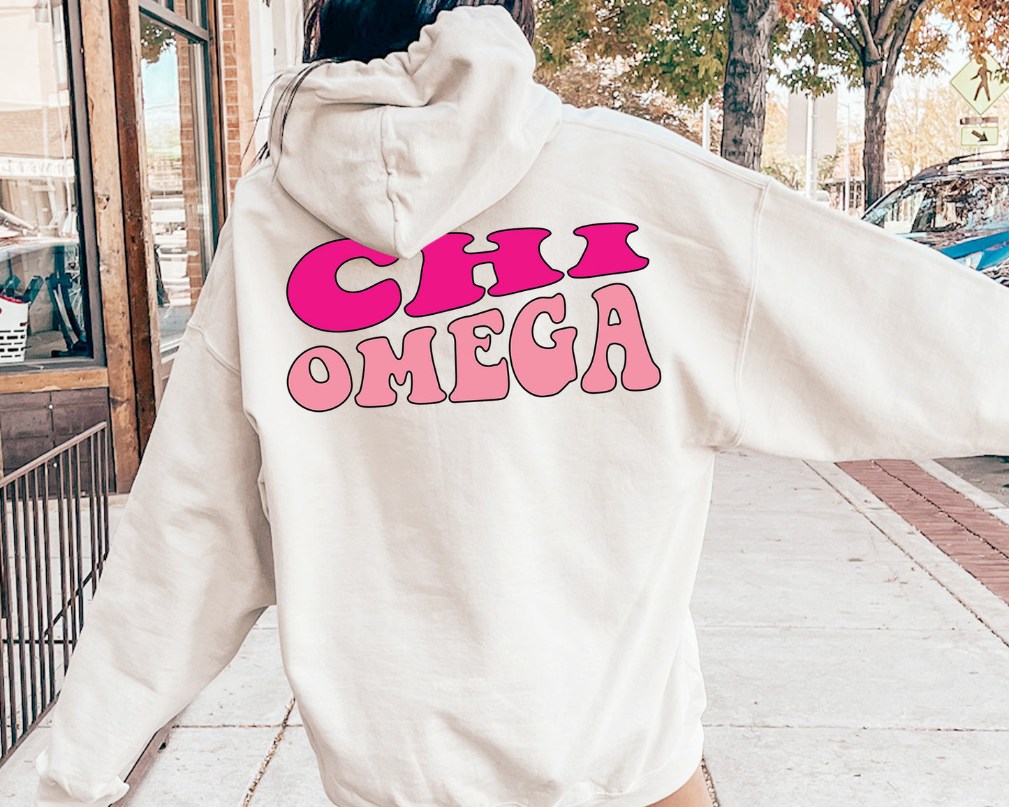 Chi Omega Shades of Pink Sorority Hoodie _ 32981g