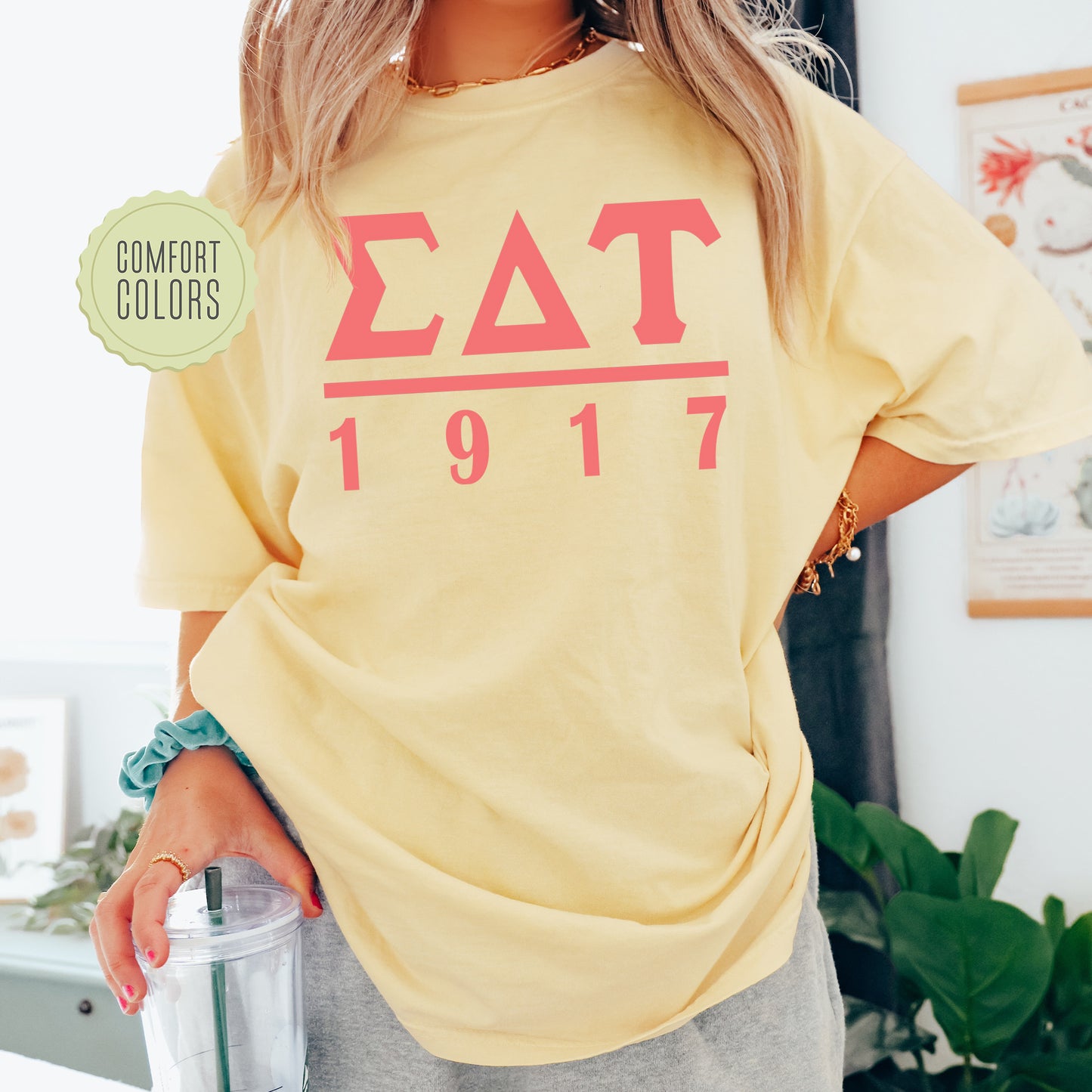 Sigma Delta Tau Monochromatic Comfort Colors Sorority T-shirt _ 30864g