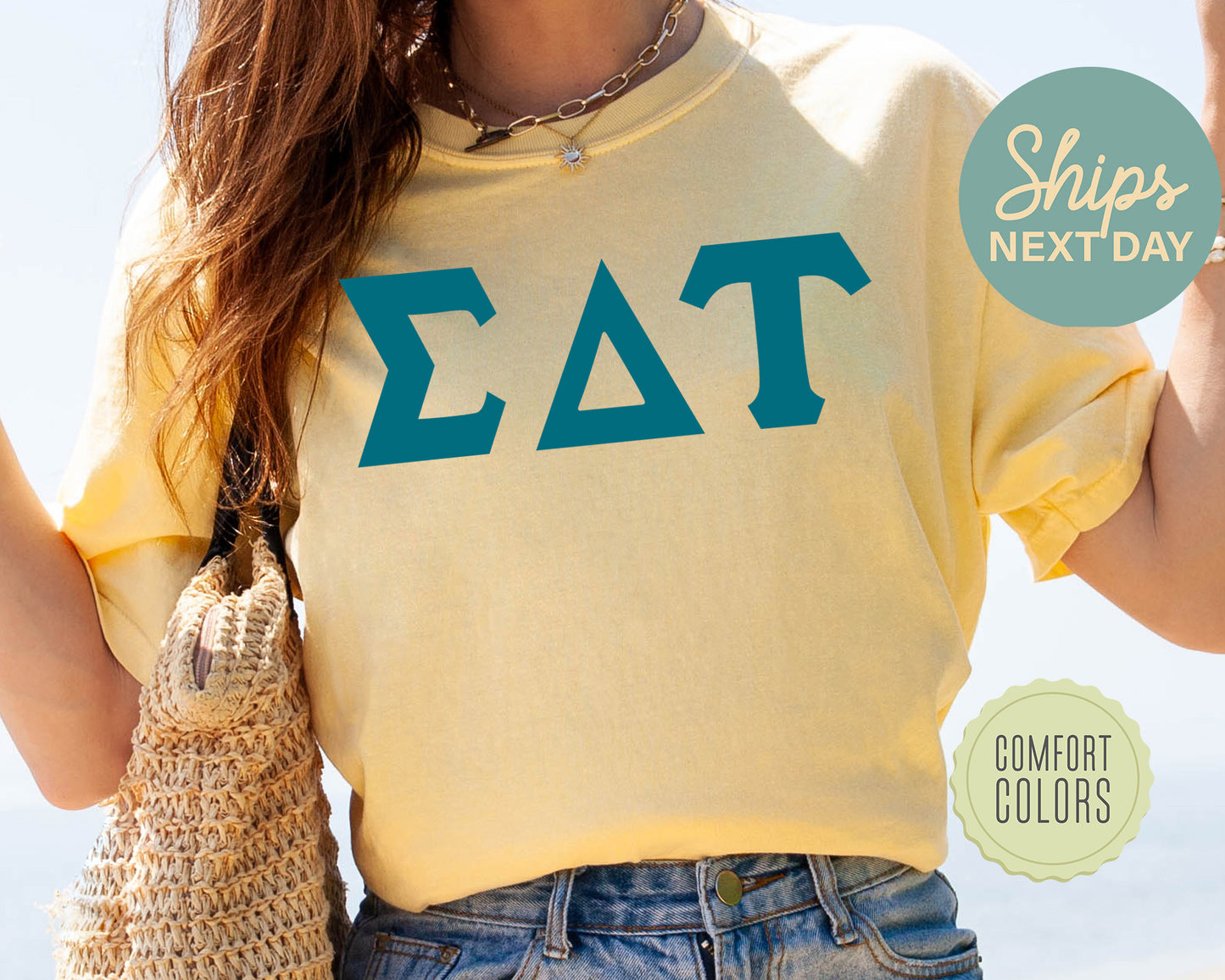 Sigma Delta Tau Back to the Basics Comfort Colors Sorority T-shirt _ 643g
