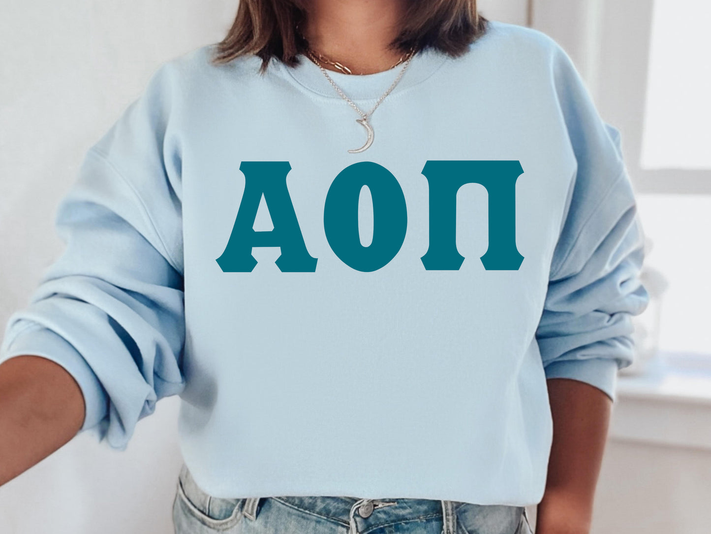 Alpha Omicron Pi Back to the Basics Sorority Sweatshirt  _ 626g
