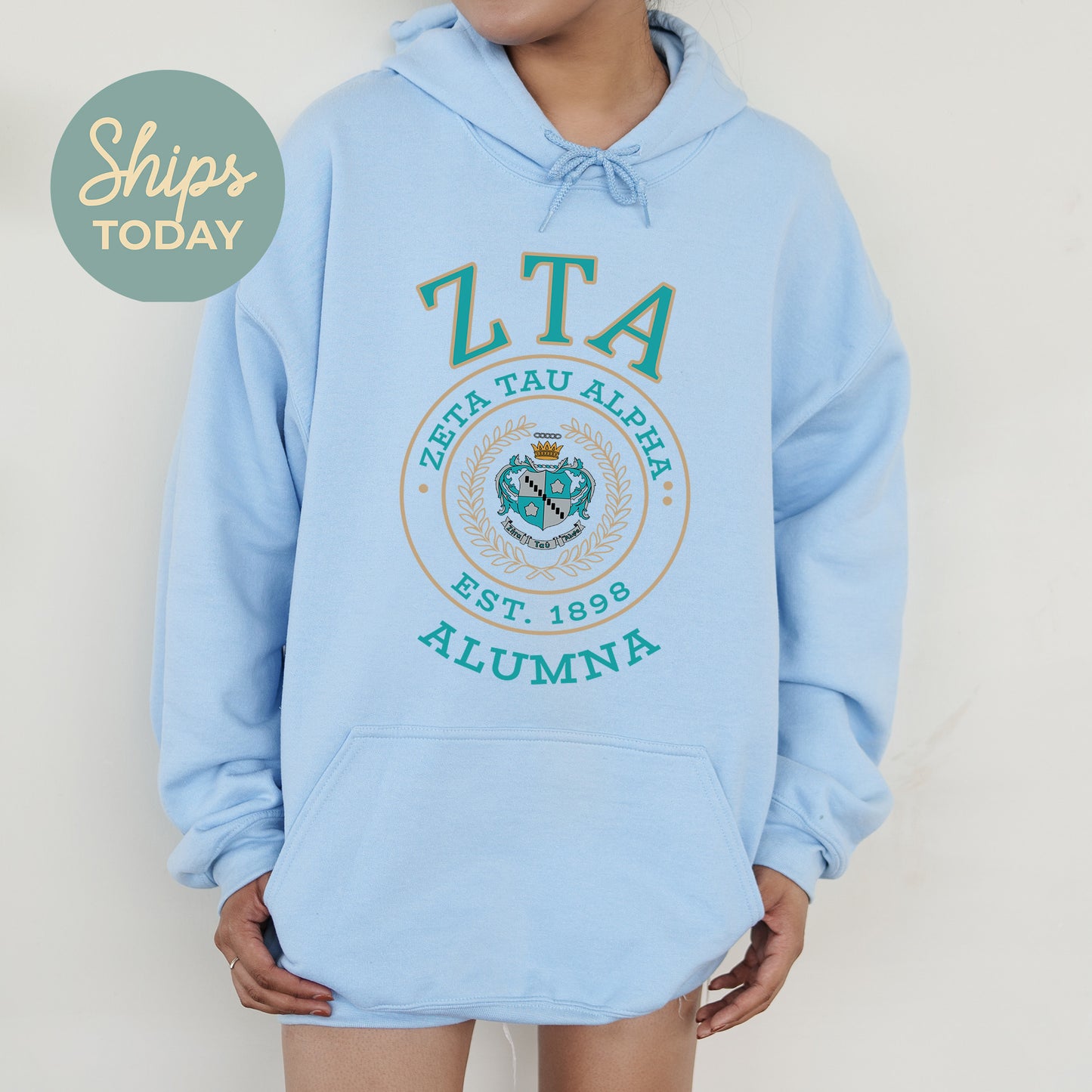 Zeta Tau Alpha Alumna Vintage Sorority Hoodie _ 31034g