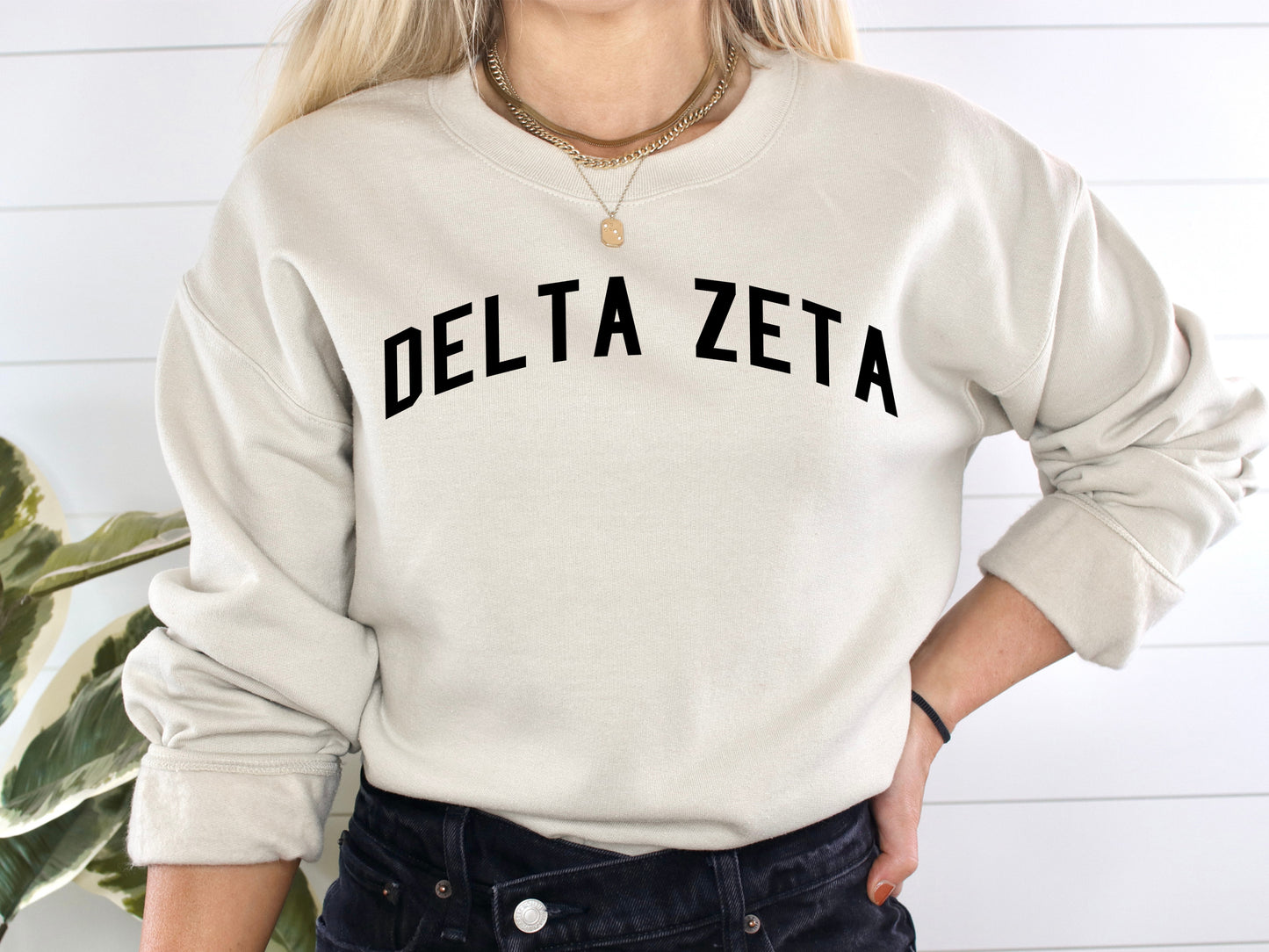 Delta Zeta Just Bold Sorority Sweatshirt _ 2382g