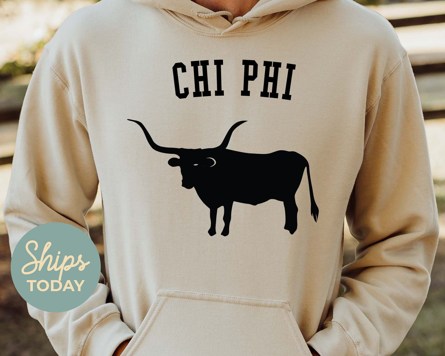 Chi Phi Long Horn Fraternity Hoodie _ 1529g