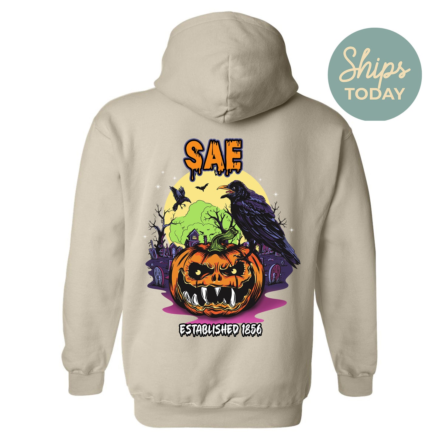 Sigma Alpha Epsilon Halloween Bats Fraternity Hoodie _ 36272g