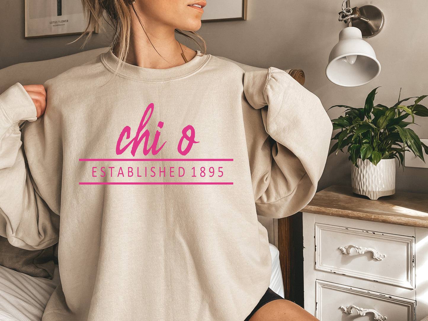 Chi Omega All Pink Sorority Sweatshirt _ 761g